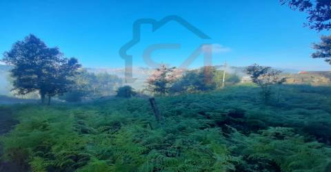 Terreno  Venda em Lustosa e Barrosas (Santo Estêvão),Lousada