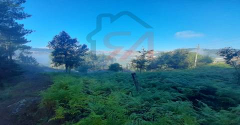 Terreno  Venda em Lustosa e Barrosas (Santo Estêvão),Lousada