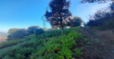 Terreno  Venda em Lustosa e Barrosas (Santo Estêvão),Lousada