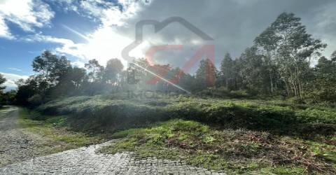 Terreno  Venda em Sanfins Lamoso Codessos,Paços de Ferreira