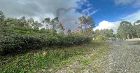 Terreno  Venda em Sanfins Lamoso Codessos,Paços de Ferreira