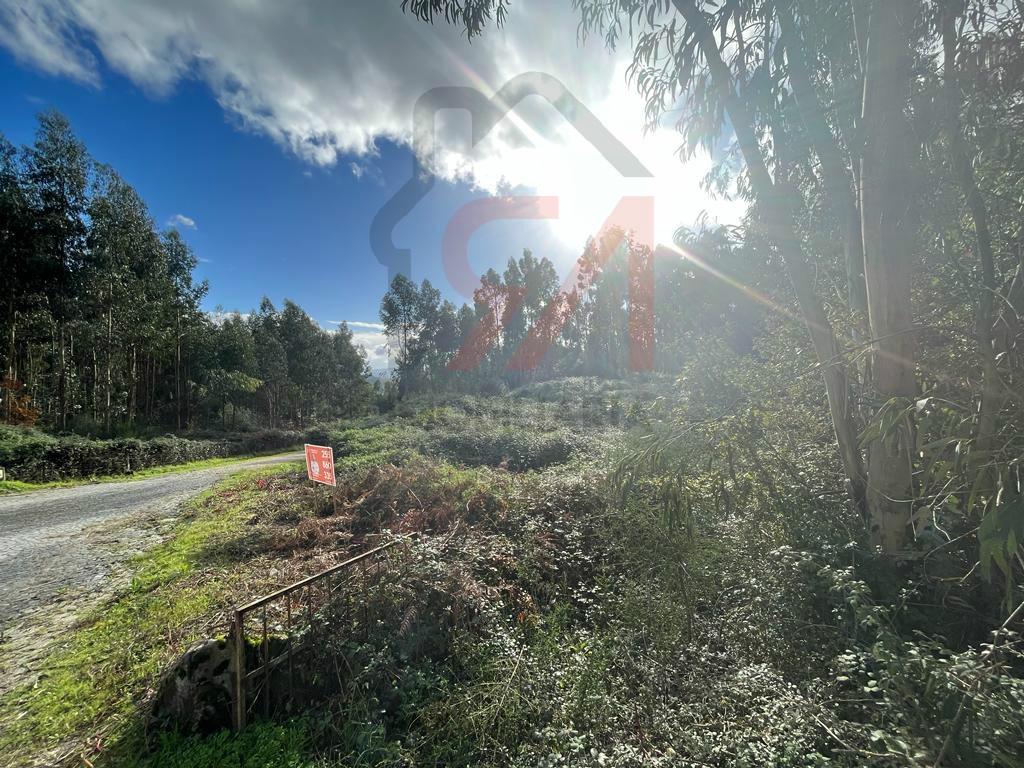 Terreno  Venda em Sanfins Lamoso Codessos,Paços de Ferreira