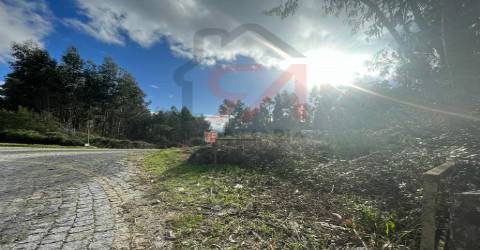 Terreno  Venda em Sanfins Lamoso Codessos,Paços de Ferreira