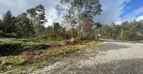 Terreno  Venda em Sanfins Lamoso Codessos,Paços de Ferreira