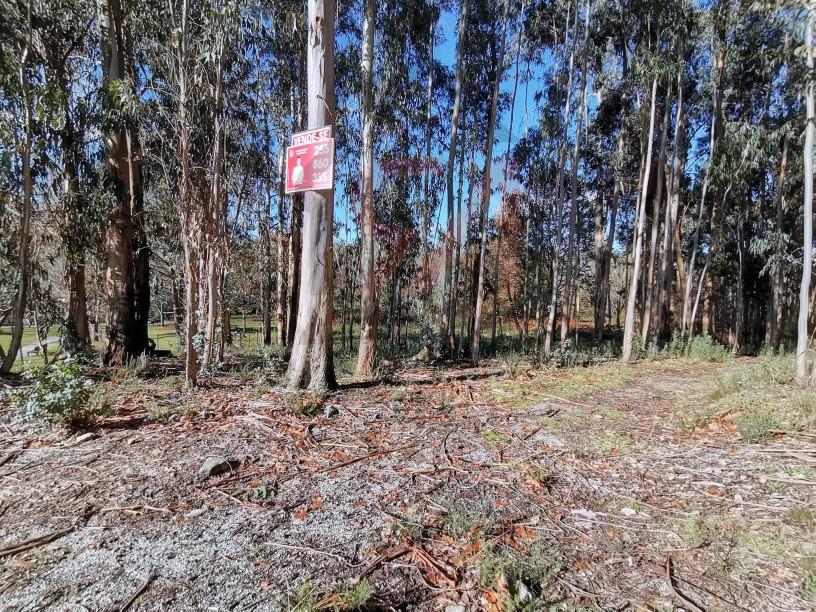 Terreno Para Construção  Venda em Meixomil,Paços de Ferreira