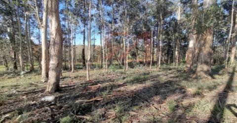 Terreno Para Construção  Venda em Meixomil,Paços de Ferreira