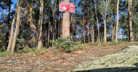 Terreno Para Construção  Venda em Meixomil,Paços de Ferreira