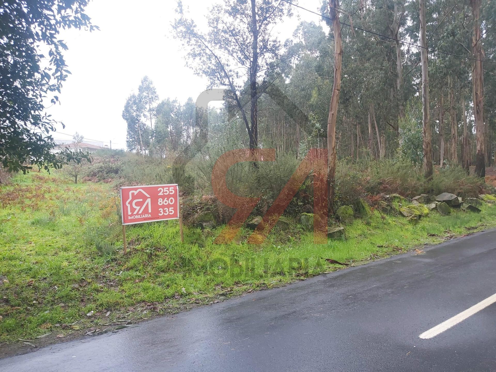 Terreno  Venda em Ferreira,Paços de Ferreira