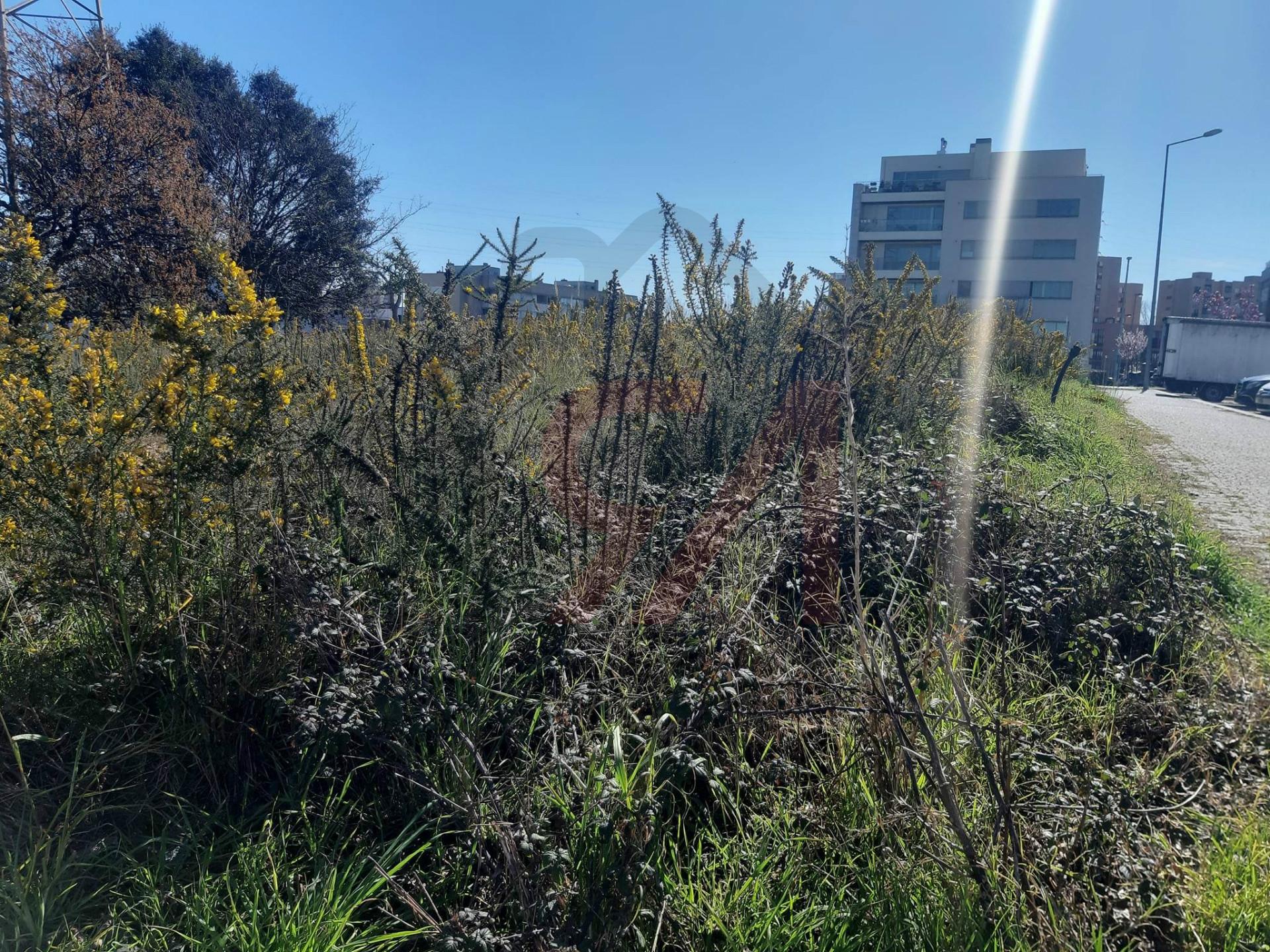 Lote de Terreno  Venda em Cidade da Maia,Maia