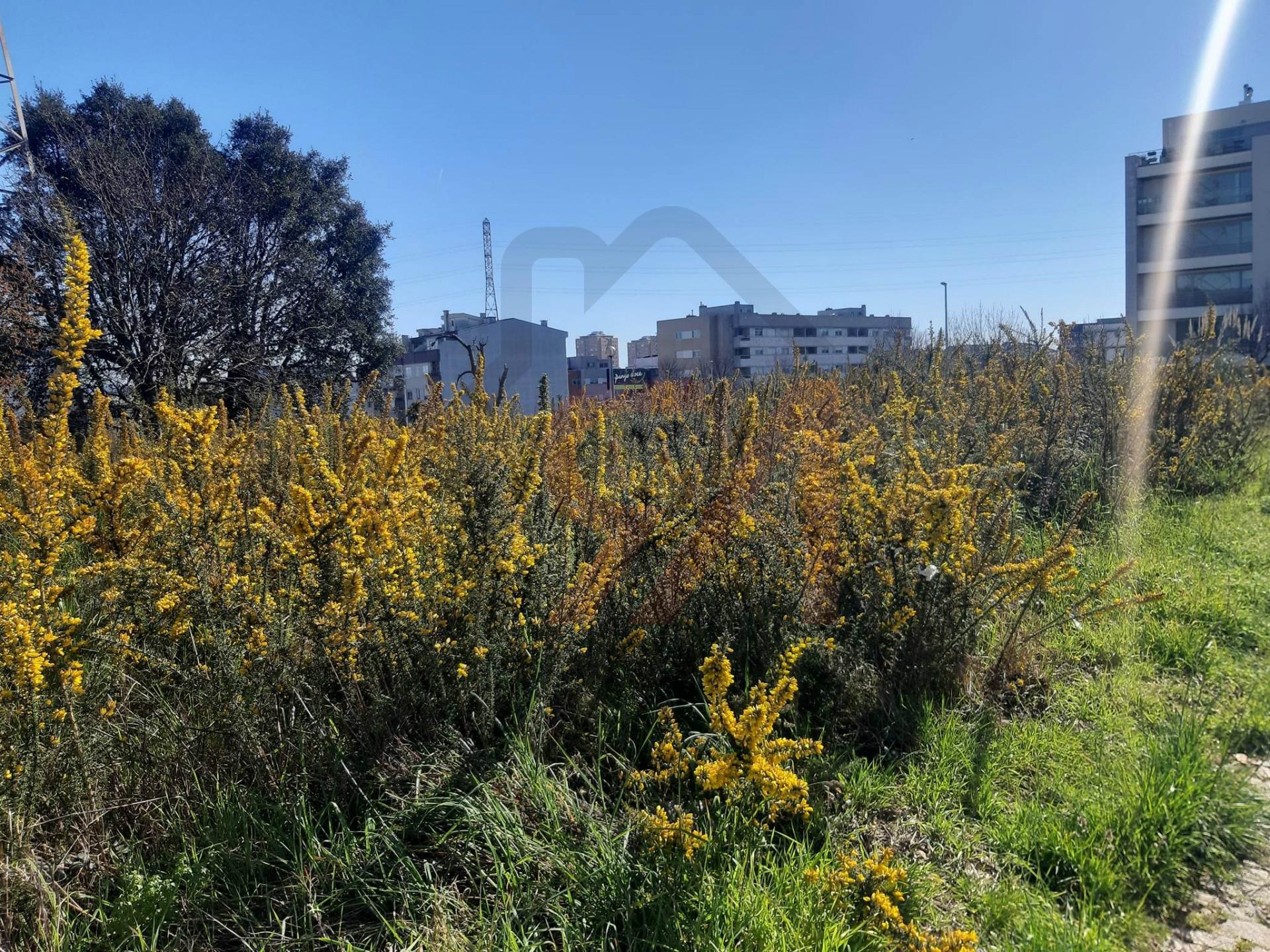 Lote de Terreno  Venda em Cidade da Maia,Maia