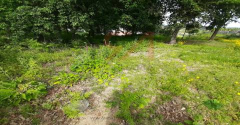 Terreno  Venda em Nespereira e Casais,Lousada