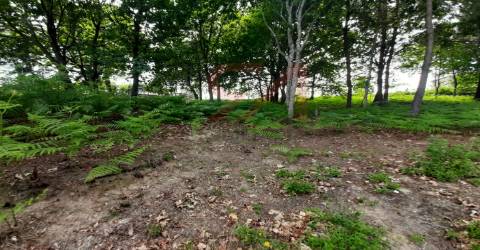 Terreno  Venda em Nespereira e Casais,Lousada