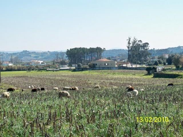 Lote de Terreno  Venda em Maiorca,Figueira da Foz