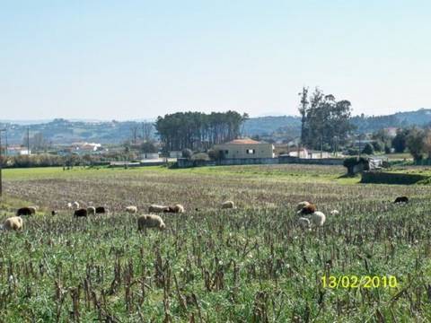 Lote de Terreno  Venda em Maiorca,Figueira da Foz
