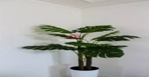 Moradia Geminada T3 Venda em Buarcos e São Julião,Figueira da Foz