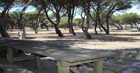 Apartamento T2 Venda em São Pedro,Figueira da Foz