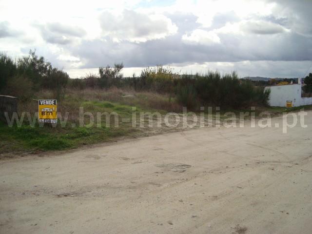 Lote de Terreno  Venda em Castelo Branco,Castelo Branco