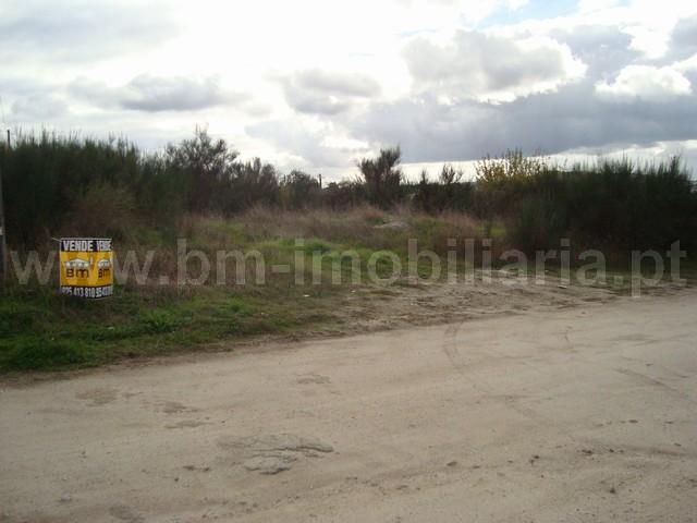 Lote de Terreno  Venda em Castelo Branco,Castelo Branco