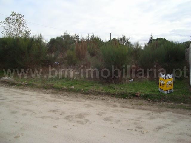 Lote de Terreno  Venda em Castelo Branco,Castelo Branco