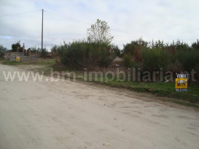 Lote de Terreno  Venda em Castelo Branco,Castelo Branco