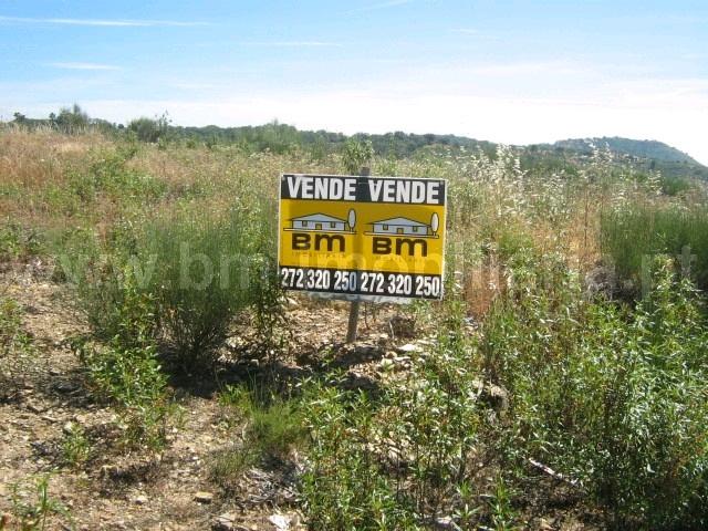 Lote de Terreno  Venda em Castelo Branco,Castelo Branco