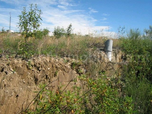 Lote de Terreno  Venda em Castelo Branco,Castelo Branco