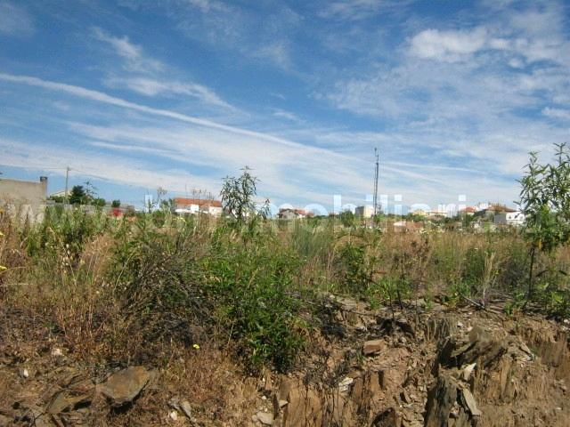 Lote de Terreno  Venda em Castelo Branco,Castelo Branco