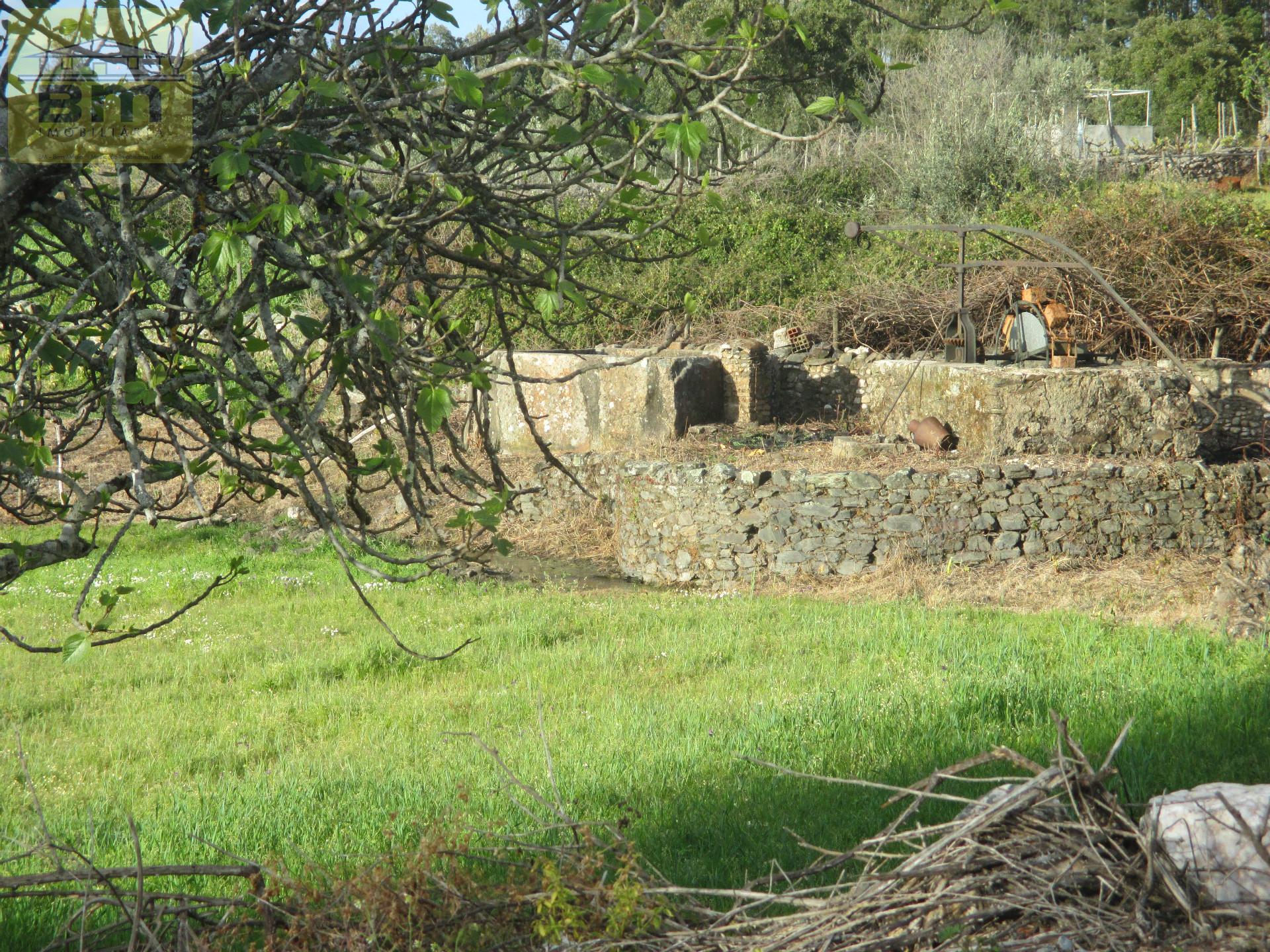 Quintinha  Venda em São Matias,Nisa