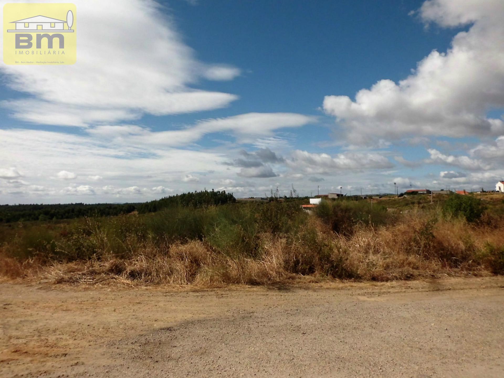 Lote de Terreno  Venda em Castelo Branco,Castelo Branco