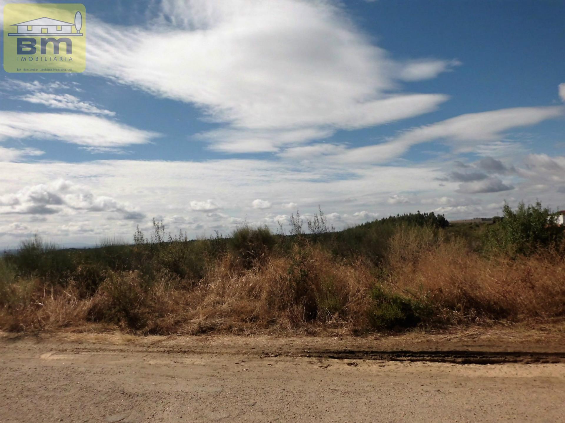 Lote de Terreno  Venda em Castelo Branco,Castelo Branco