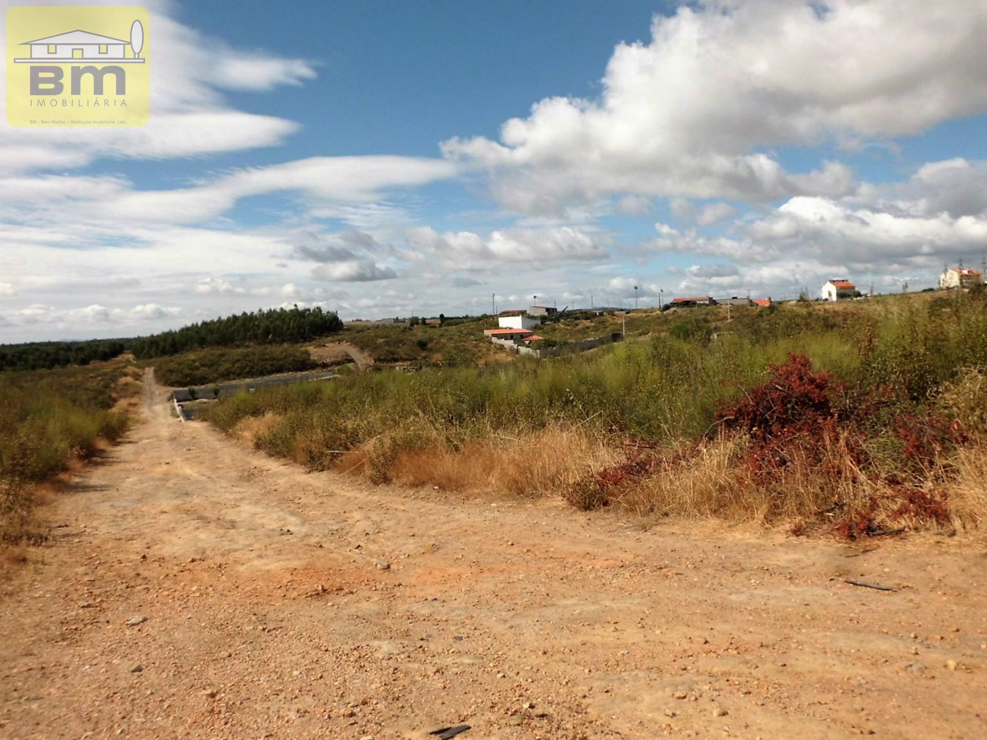 Lote de Terreno  Venda em Castelo Branco,Castelo Branco