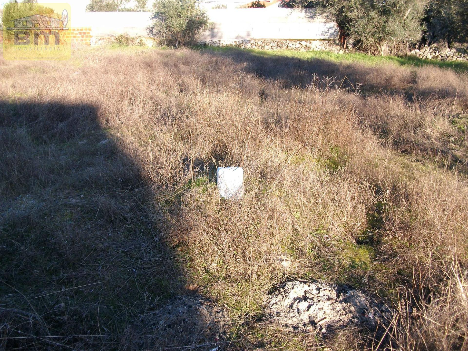 Lote de Terreno  Venda em Alcains,Castelo Branco