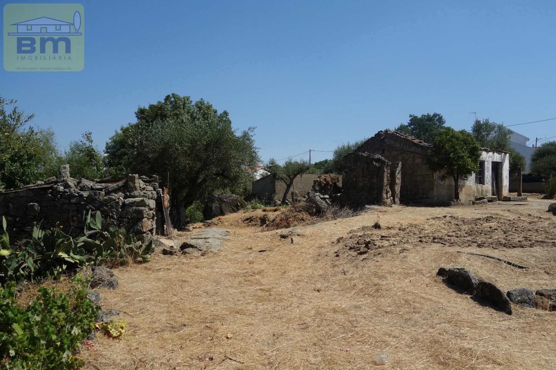 Quinta  Venda em Escalos de Cima e Lousa,Castelo Branco