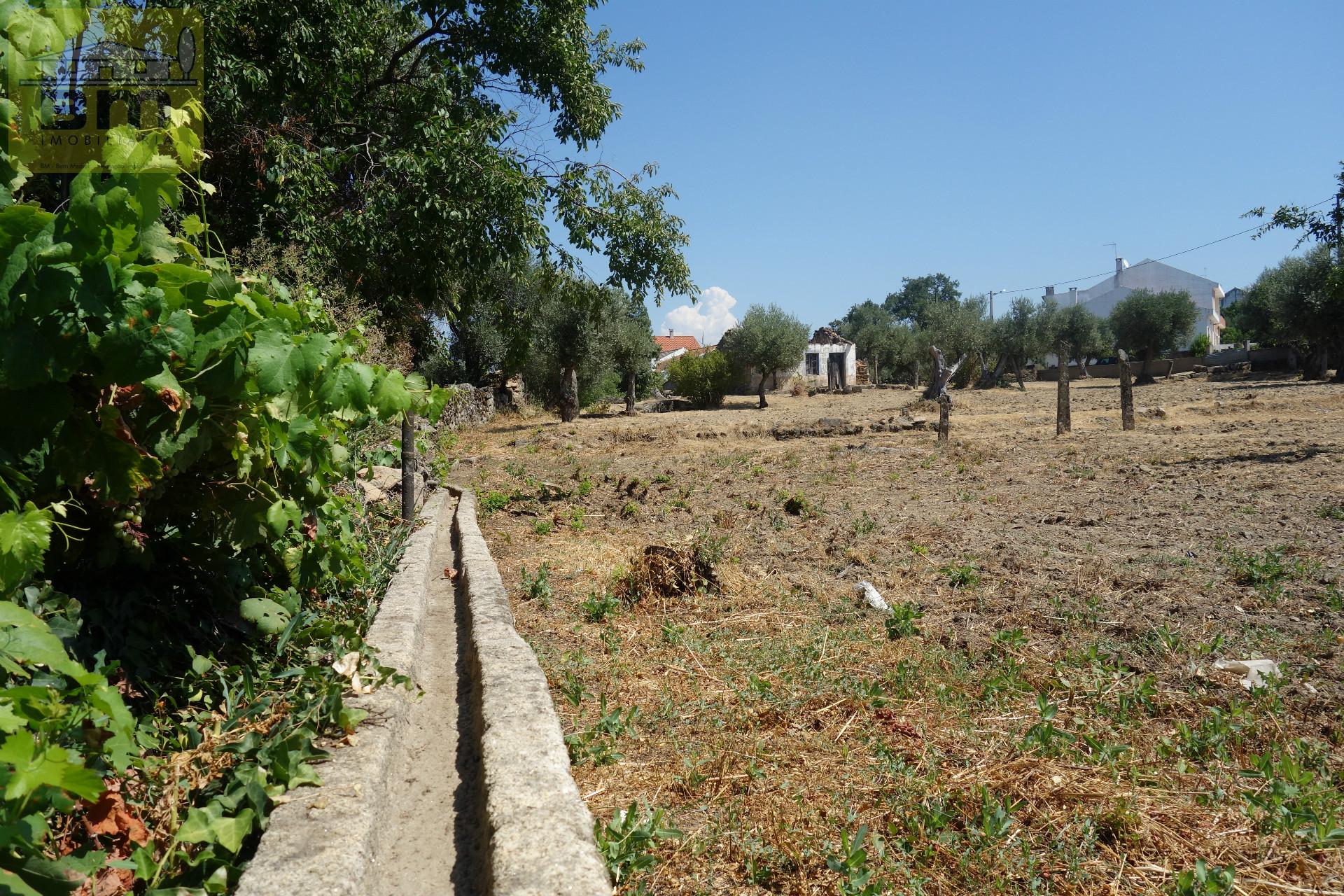 Quinta  Venda em Escalos de Cima e Lousa,Castelo Branco