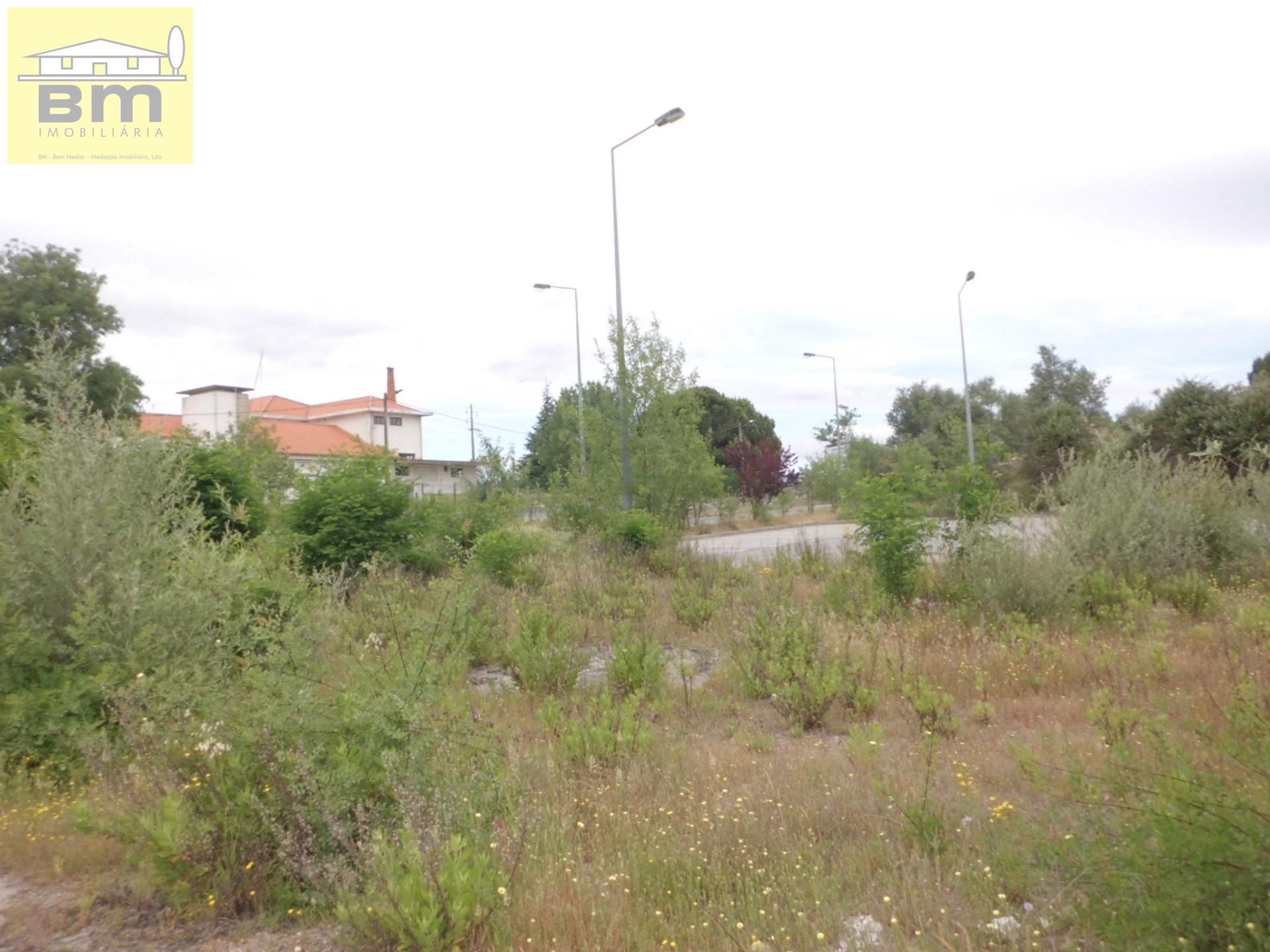 Lote de Terreno  Venda em Alcains,Castelo Branco