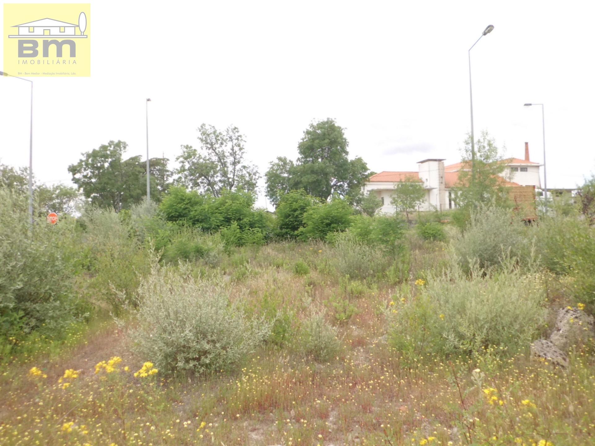 Lote de Terreno  Venda em Alcains,Castelo Branco