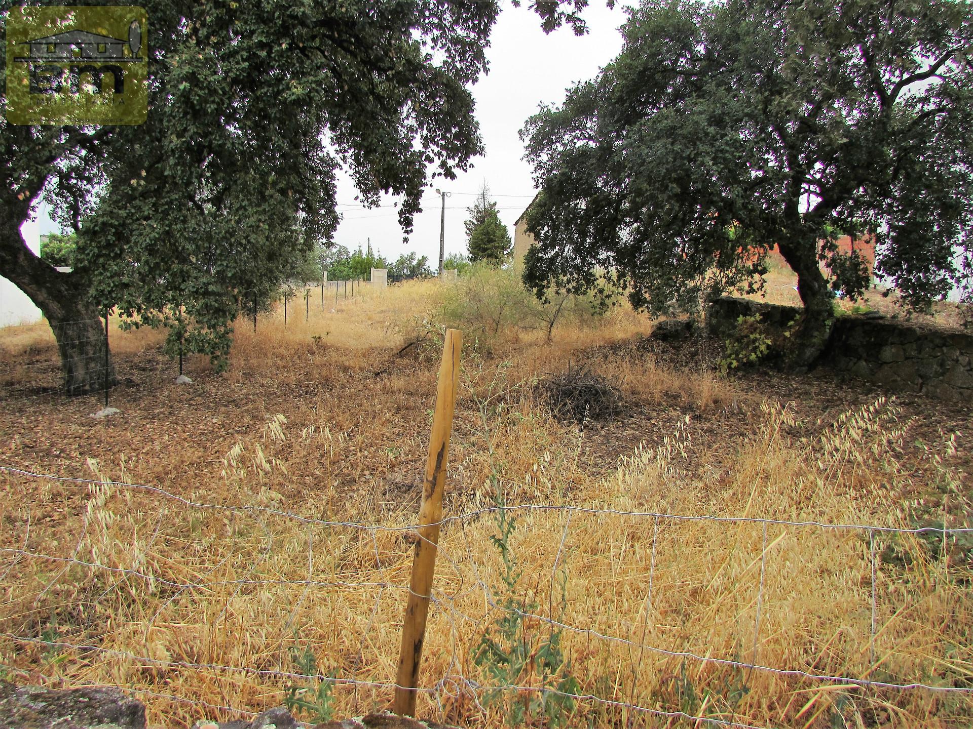 Lote de Terreno  Venda em Castelo Branco,Castelo Branco