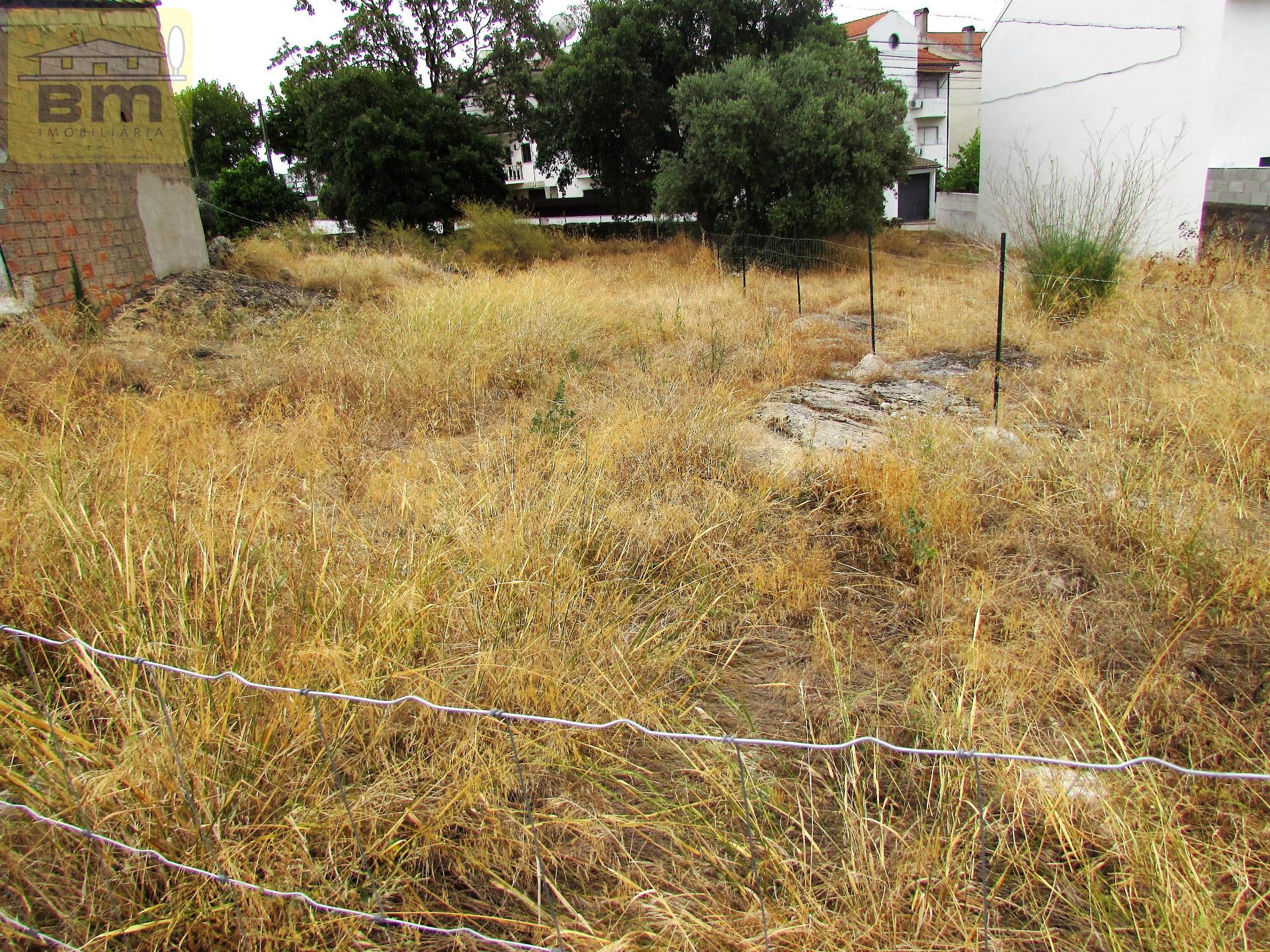 Lote de Terreno  Venda em Castelo Branco,Castelo Branco