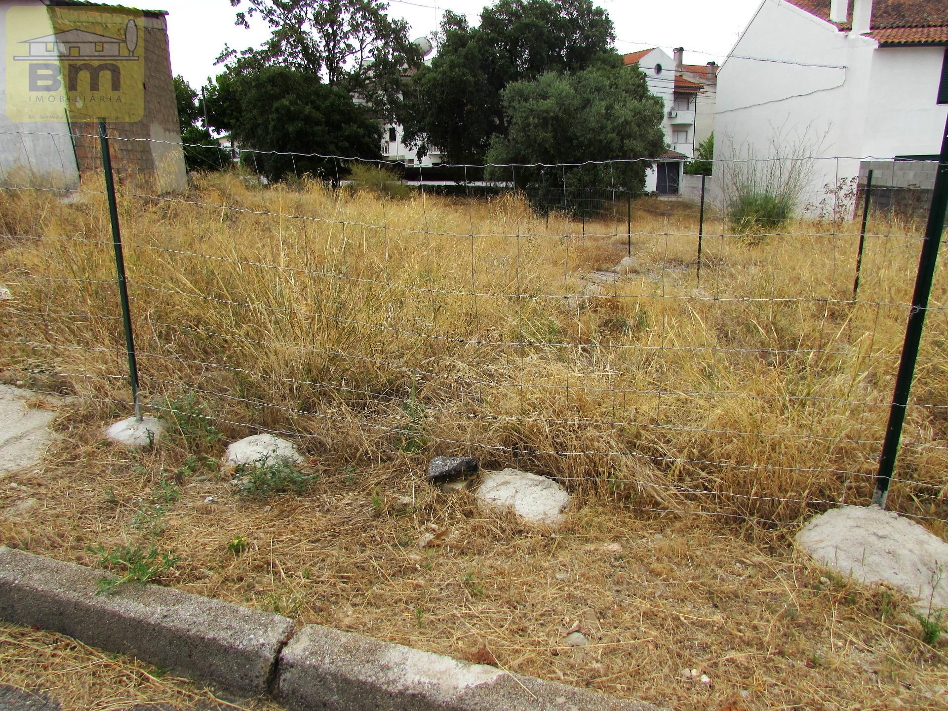 Lote de Terreno  Venda em Castelo Branco,Castelo Branco