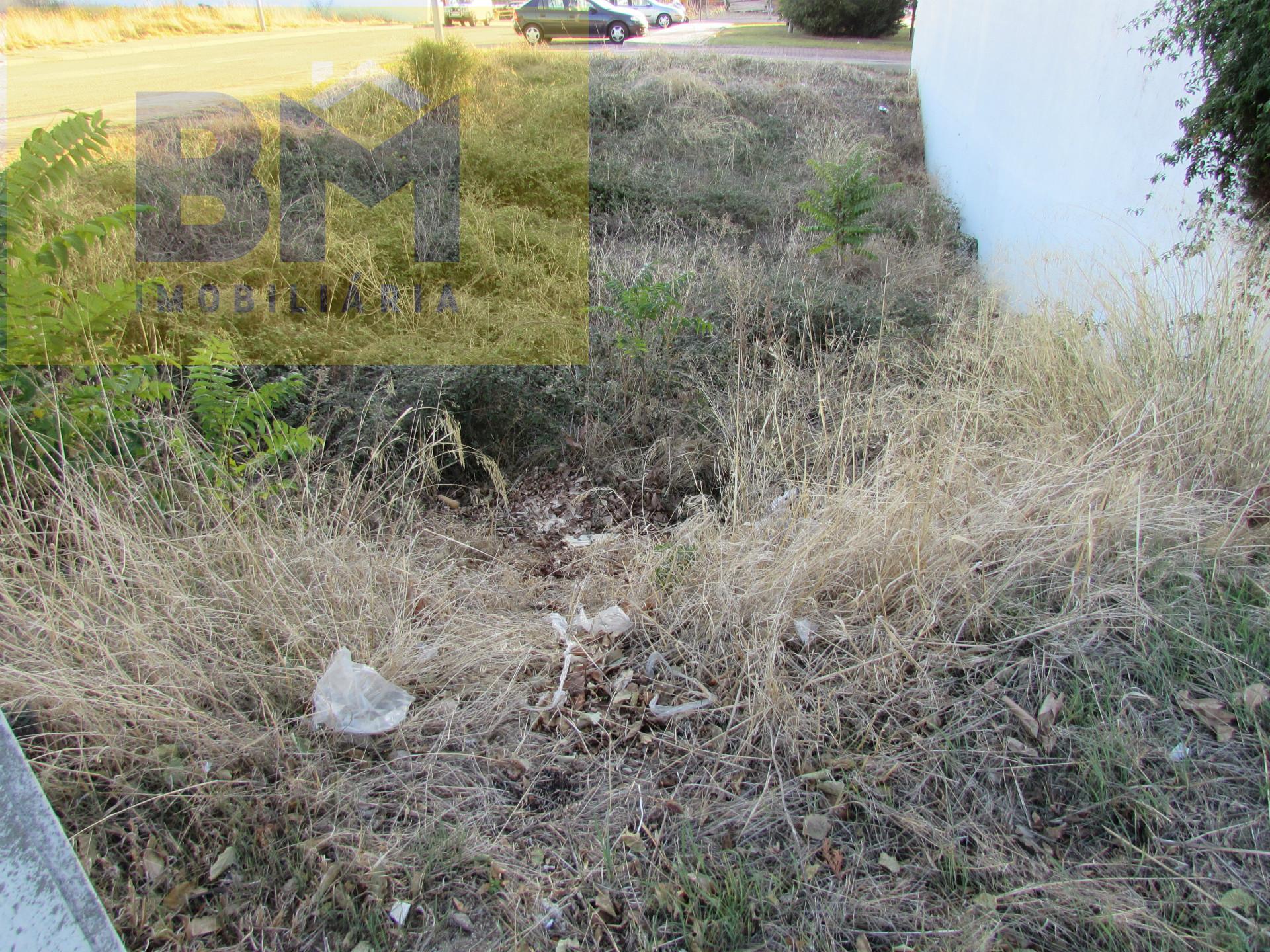 Lote de Terreno  Venda em Castelo Branco,Castelo Branco