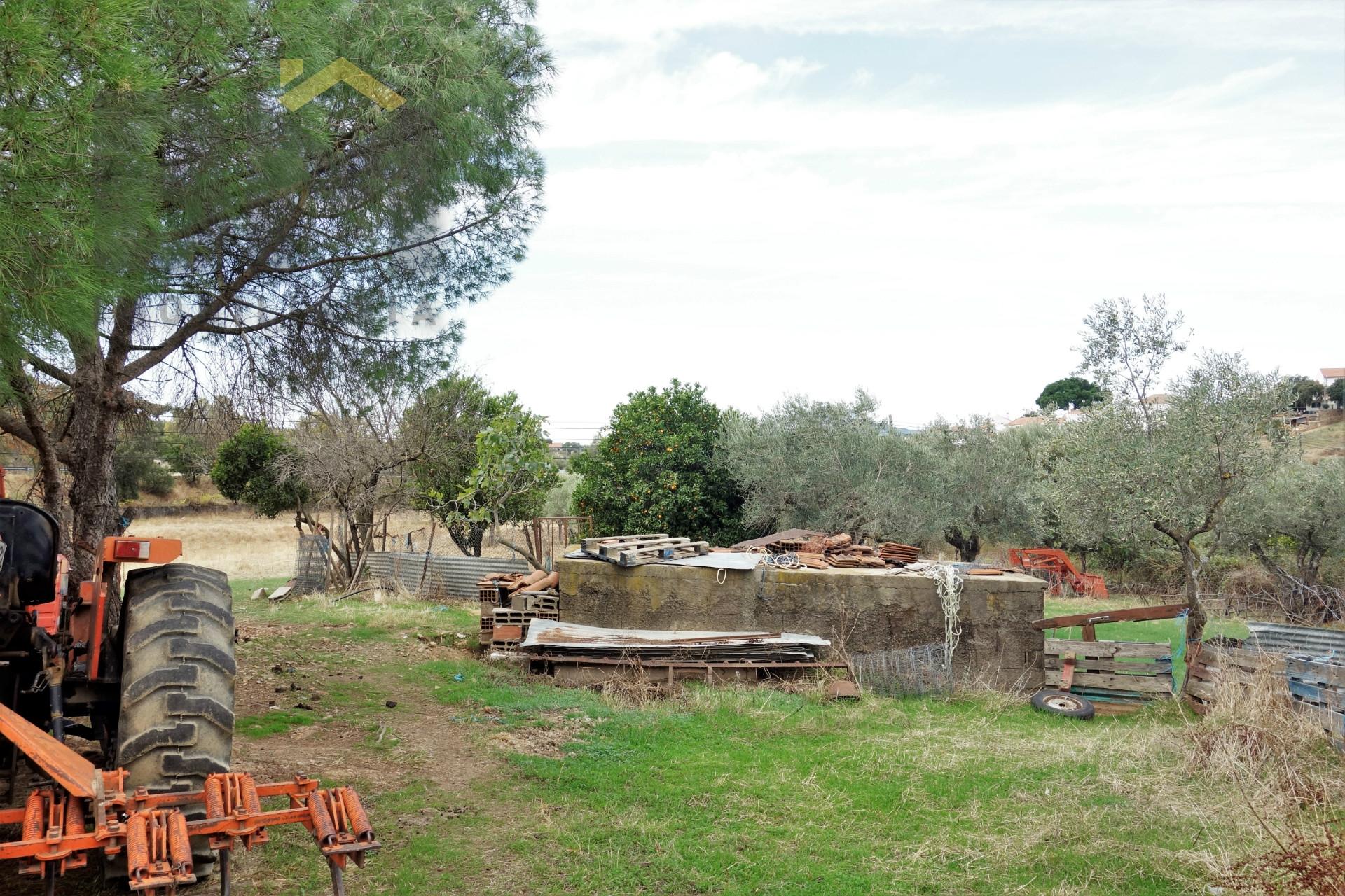 Quinta  Venda em Penha Garcia,Idanha-a-Nova