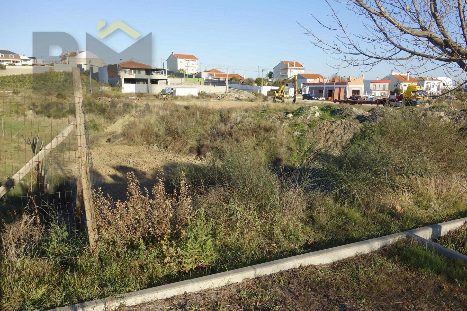 Lote de Terreno  Venda em Castelo Branco,Castelo Branco