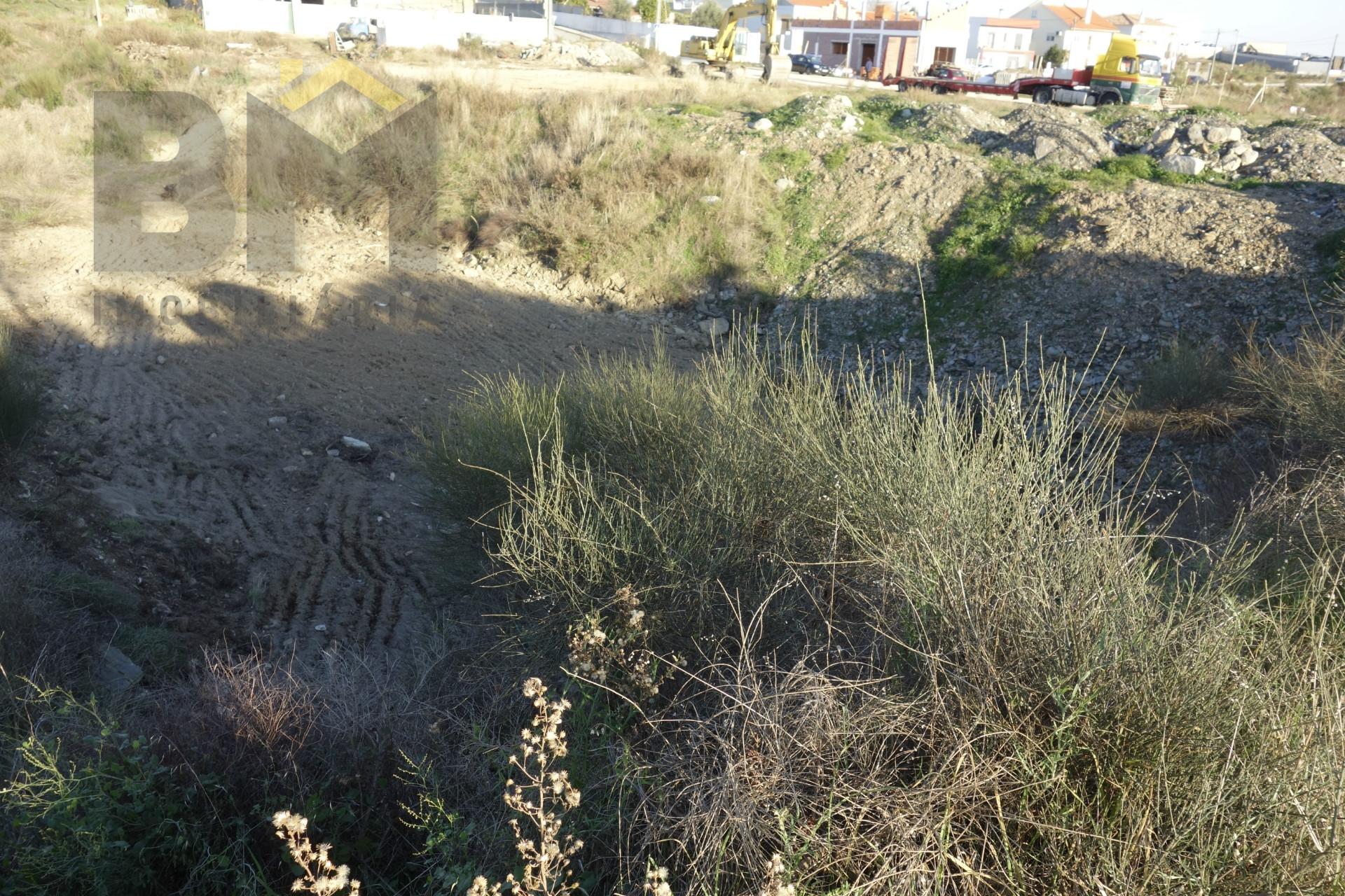 Lote de Terreno  Venda em Castelo Branco,Castelo Branco