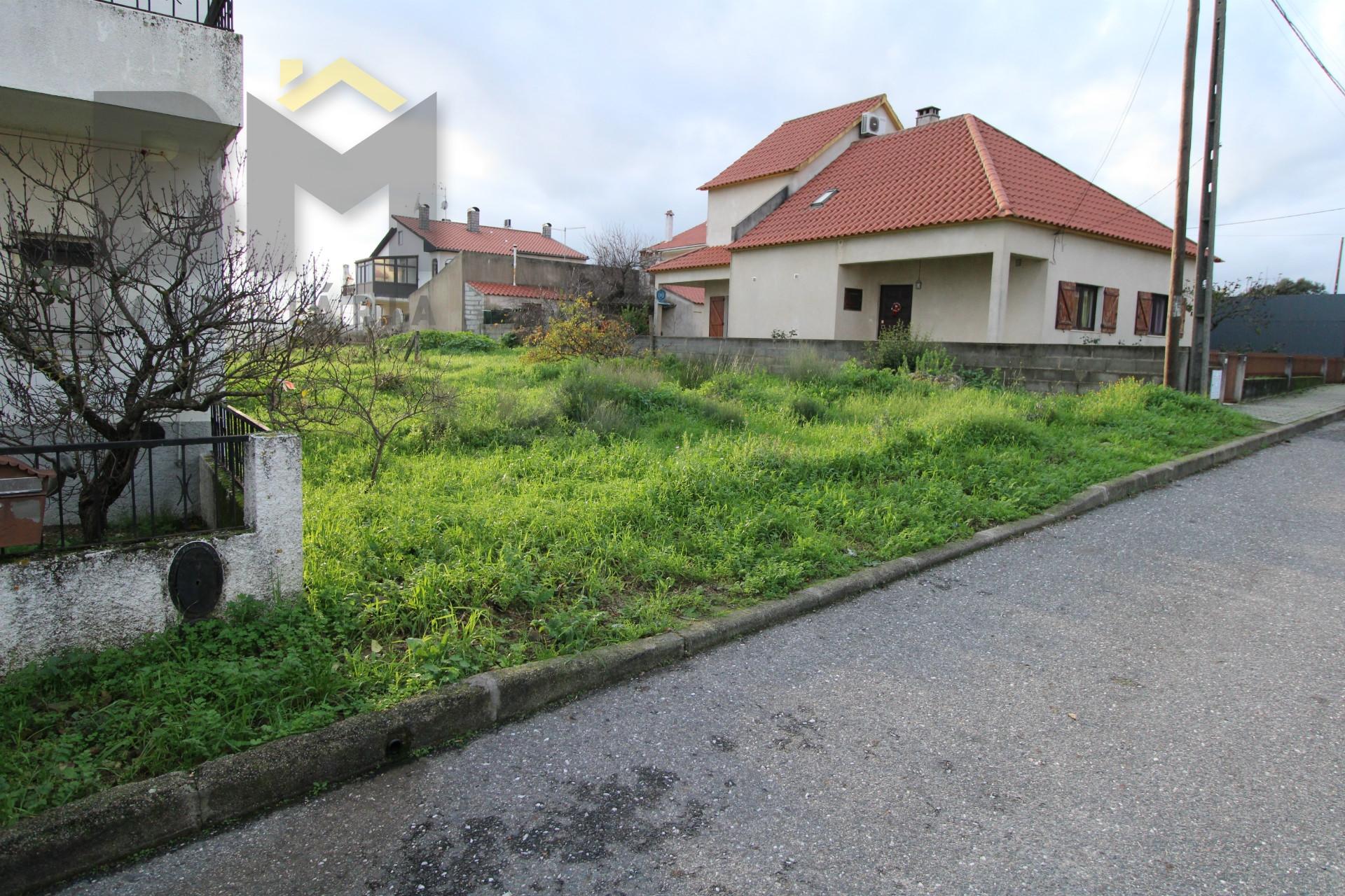 Terreno Para Construção  Venda em Castelo Branco,Castelo Branco