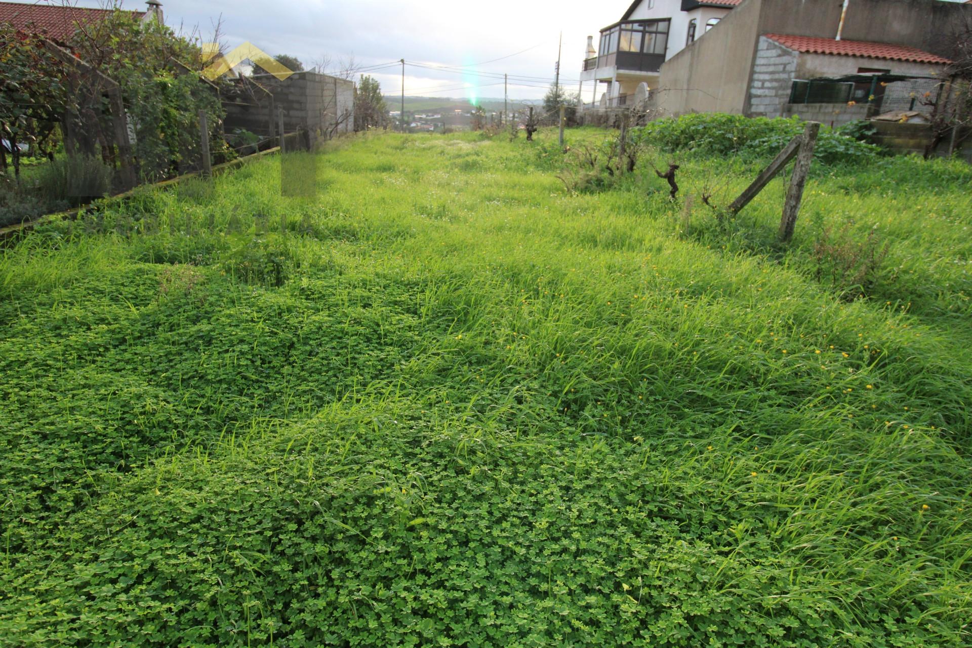 Terreno Para Construção  Venda em Castelo Branco,Castelo Branco