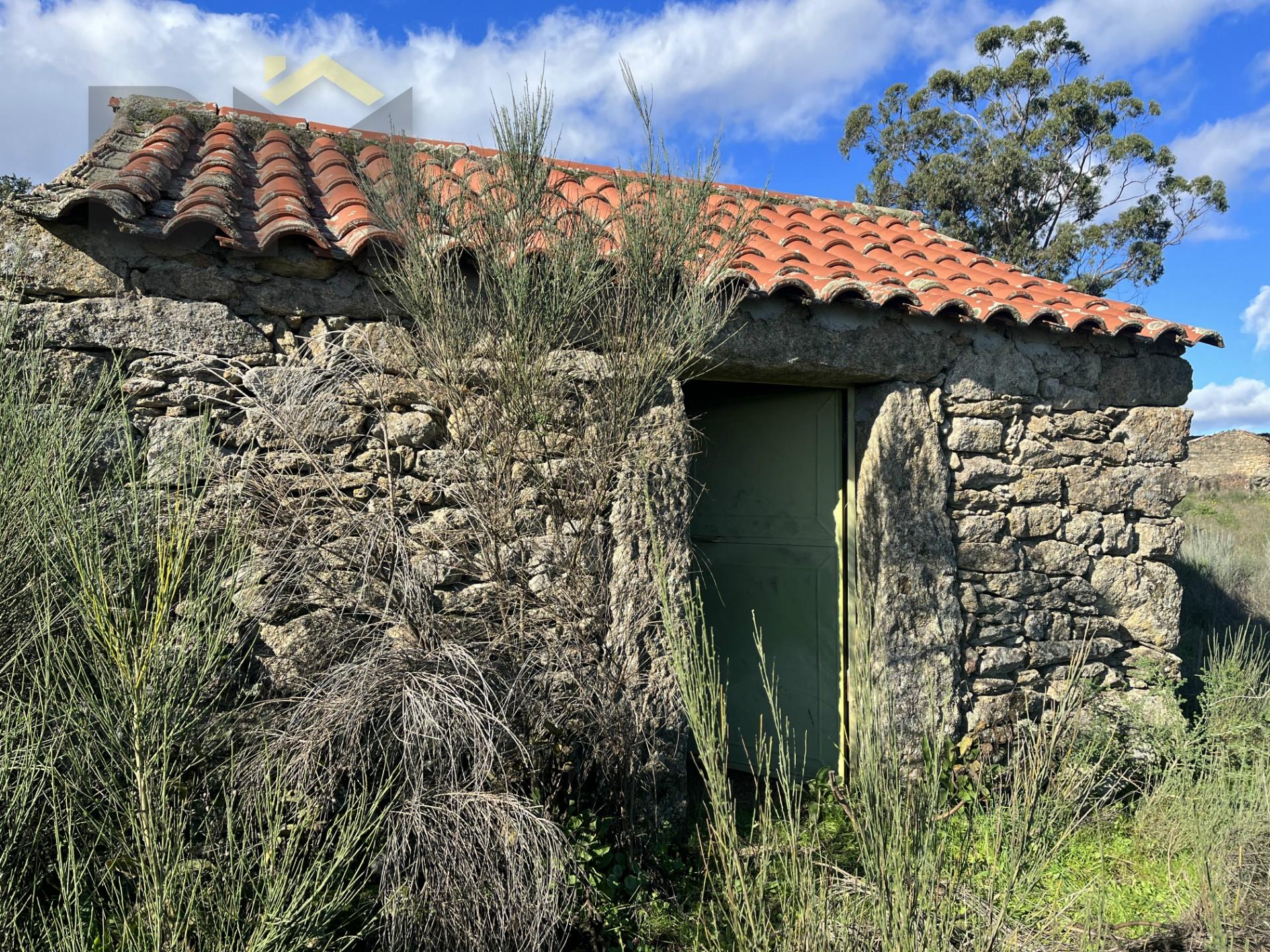 Quintinha  Venda em Monsanto e Idanha-a-Velha,Idanha-a-Nova