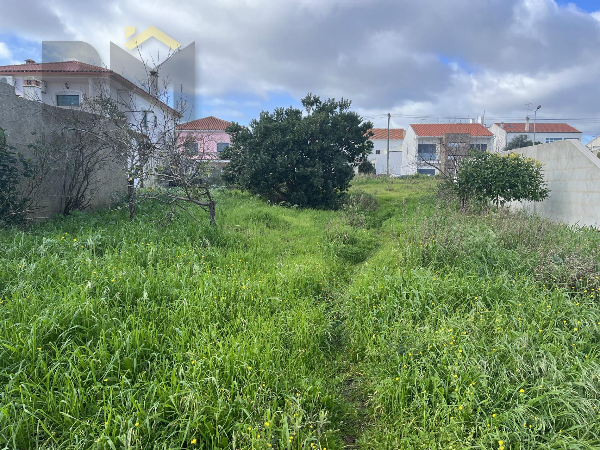 Lote de Terreno  Venda em Castelo Branco,Castelo Branco