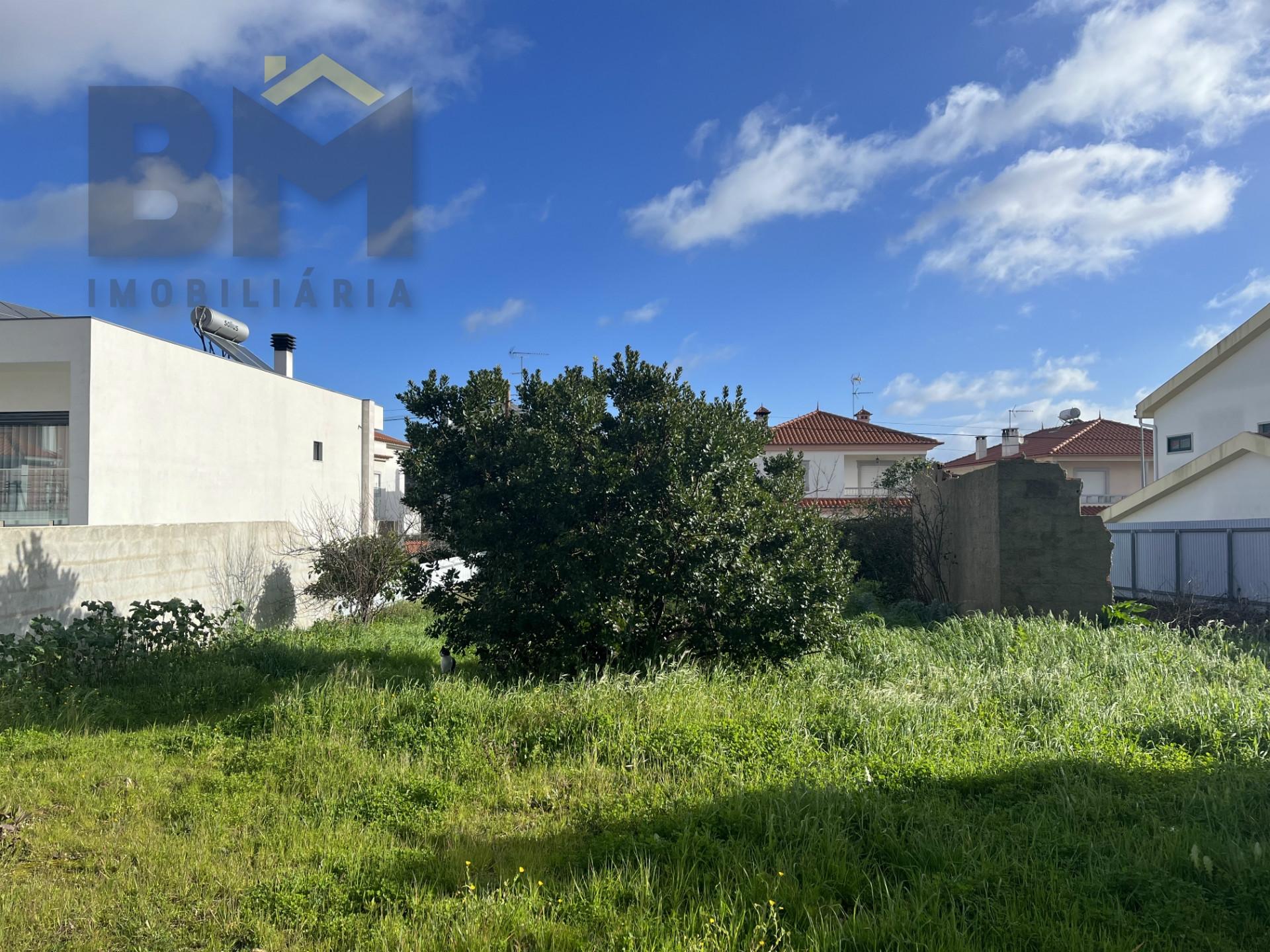 Lote de Terreno  Venda em Castelo Branco,Castelo Branco