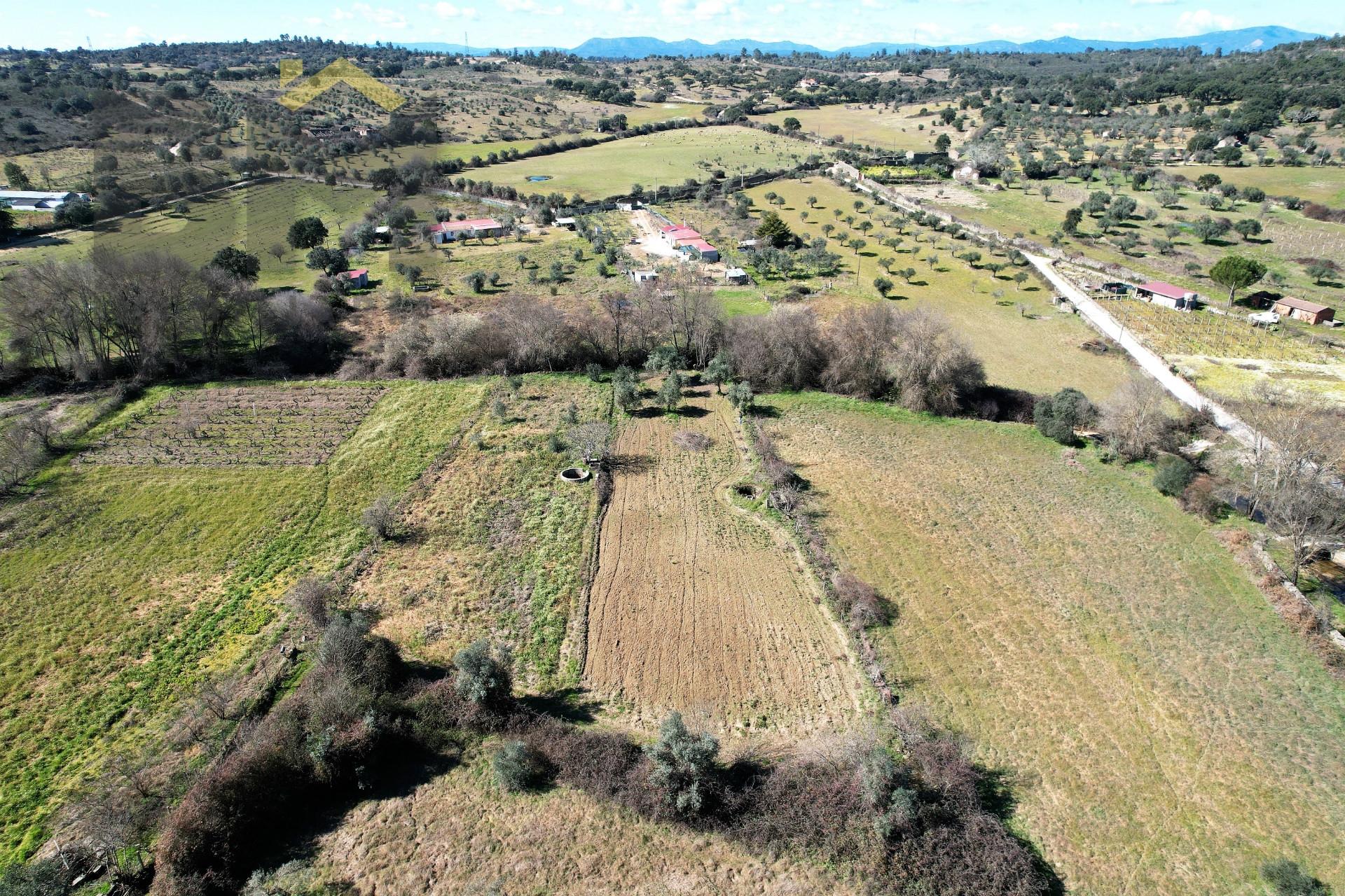 Terreno Rústico  Venda em Póvoa de Rio de Moinhos e Cafede,Castelo Branco