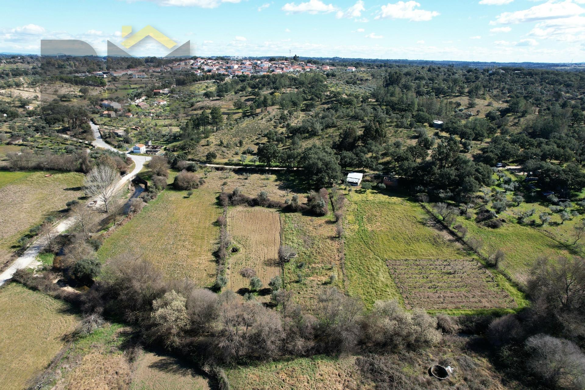 Terreno Rústico  Venda em Póvoa de Rio de Moinhos e Cafede,Castelo Branco